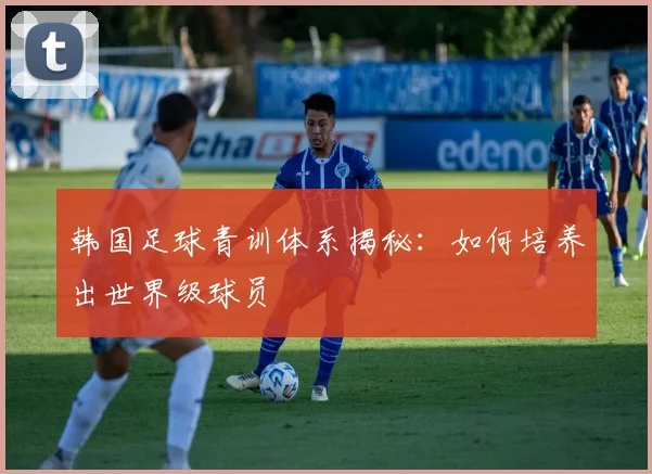 韩国足球青训体系揭秘：如何培养出世界级球员