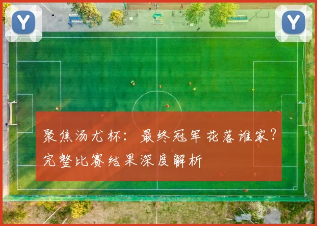 聚焦汤尤杯:最终冠军花落谁家?完整比赛结果深度解析