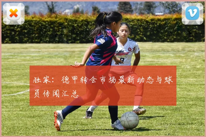 独家：德甲转会市场最新动态与球员传闻汇总